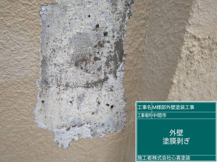 外壁塗膜剥ぎ