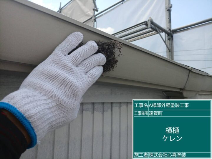 横樋ｹﾚﾝ